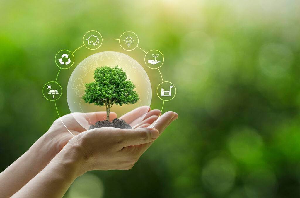 Développement durable et transition énergétique